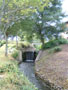 university of limerick - campus waterfalls.jpg